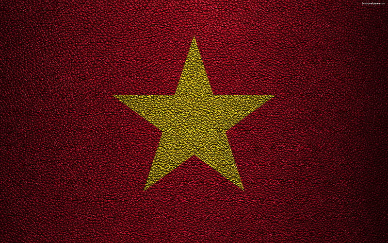 Flag of Vietnam leather texture, Vietnamese flag, Asia, world flags, Vietnam, HD wallpaper