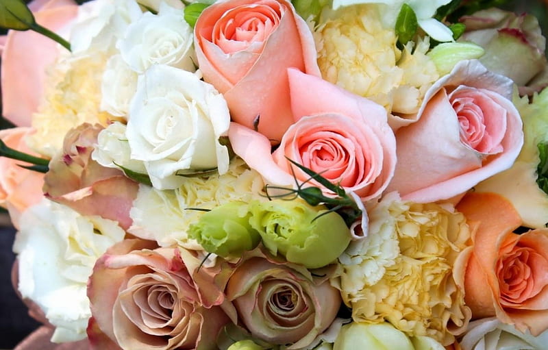Flowers, tenderness, rose, flower, roses, peonies, HD wallpaper | Peakpx