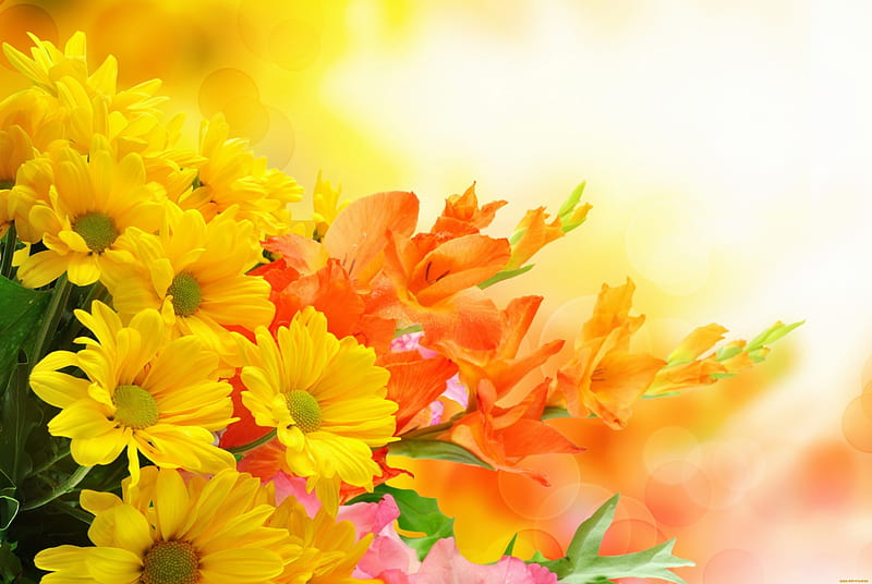Floral background, pretty, lovely, orange, background, yellow, bonito,  freshness, HD wallpaper | Peakpx