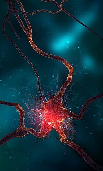 Neurons In The Brain With A Nucleus Inside On A Black Background 3d  Illustration Stock Photo Picture And Royalty Free Image Image 58901264