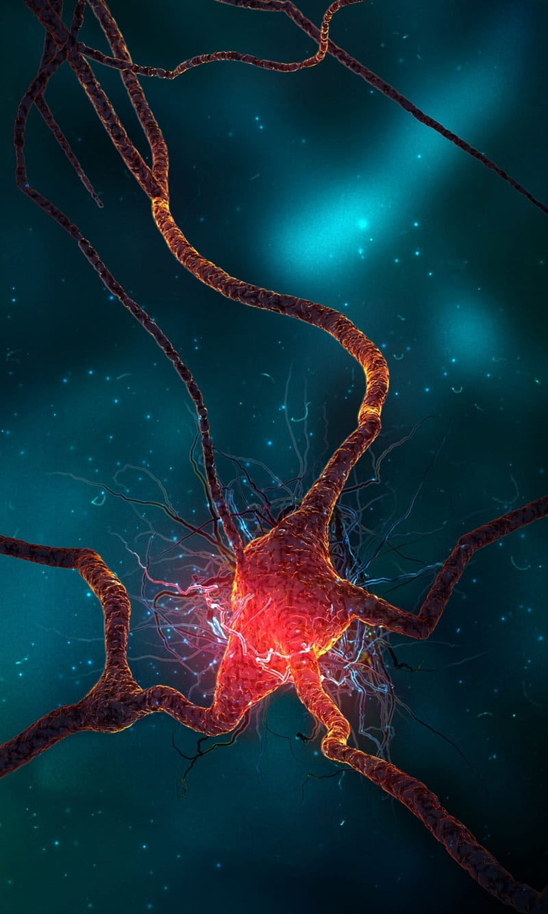 brain nerves wallpaper