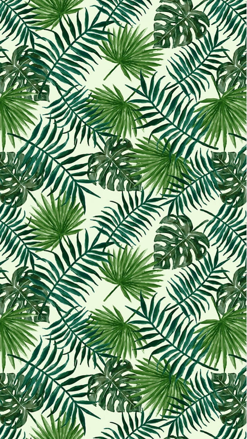 Jungle, aesthetic, egzotic, exotic, leaf, nature, nice, sofija1818, vsco, whatever, HD phone wallpaper