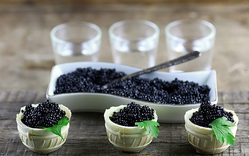 Black caviar, appetizer, caviar, fish dishes, HD wallpaper