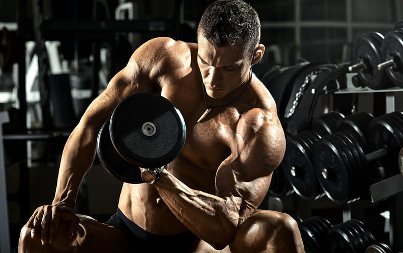 Bodybuilder, gym, black, man, muscles, fitness, HD wallpaper