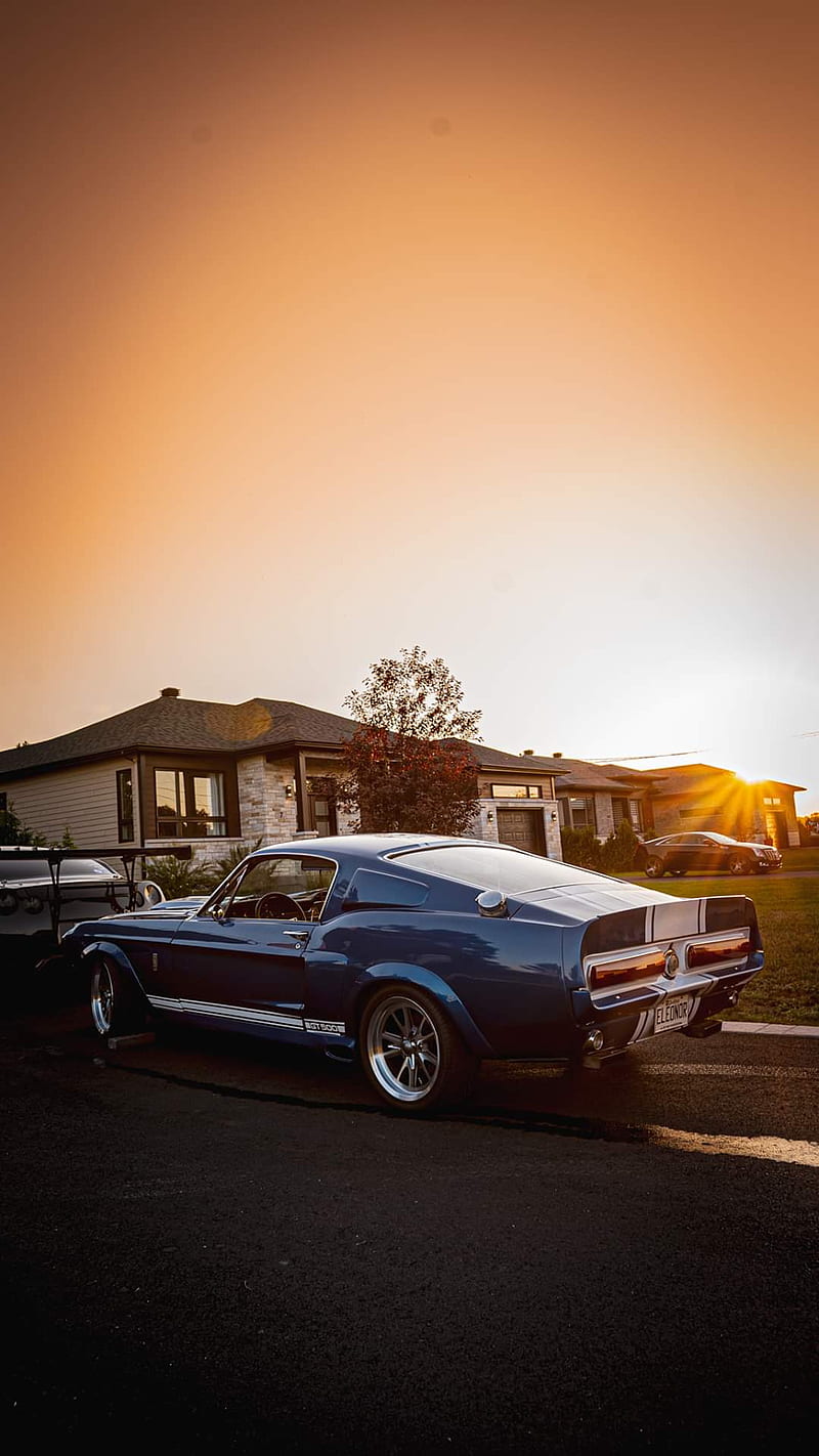 Shelby gt500 1967, car, carros, ford, mustang, sport, turbo, HD phone wallpaper