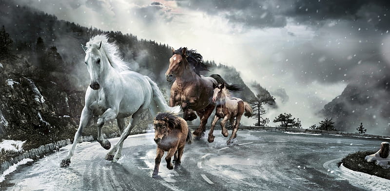 :), cal, add, fantasy, commercial, horse, road, winter, iarna, advertise, HD wallpaper