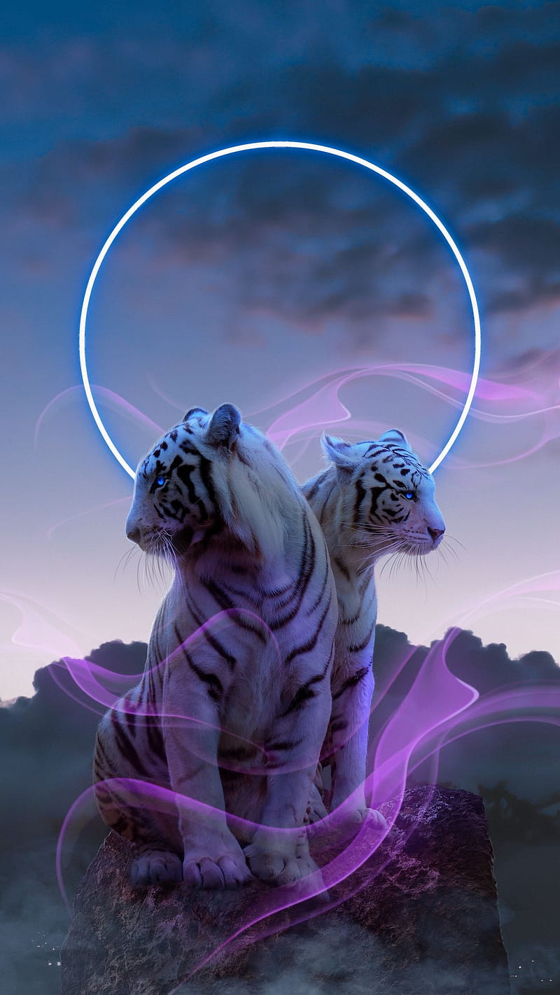 White tigers animal drawings fantasy HD phone wallpaper  Peakpx