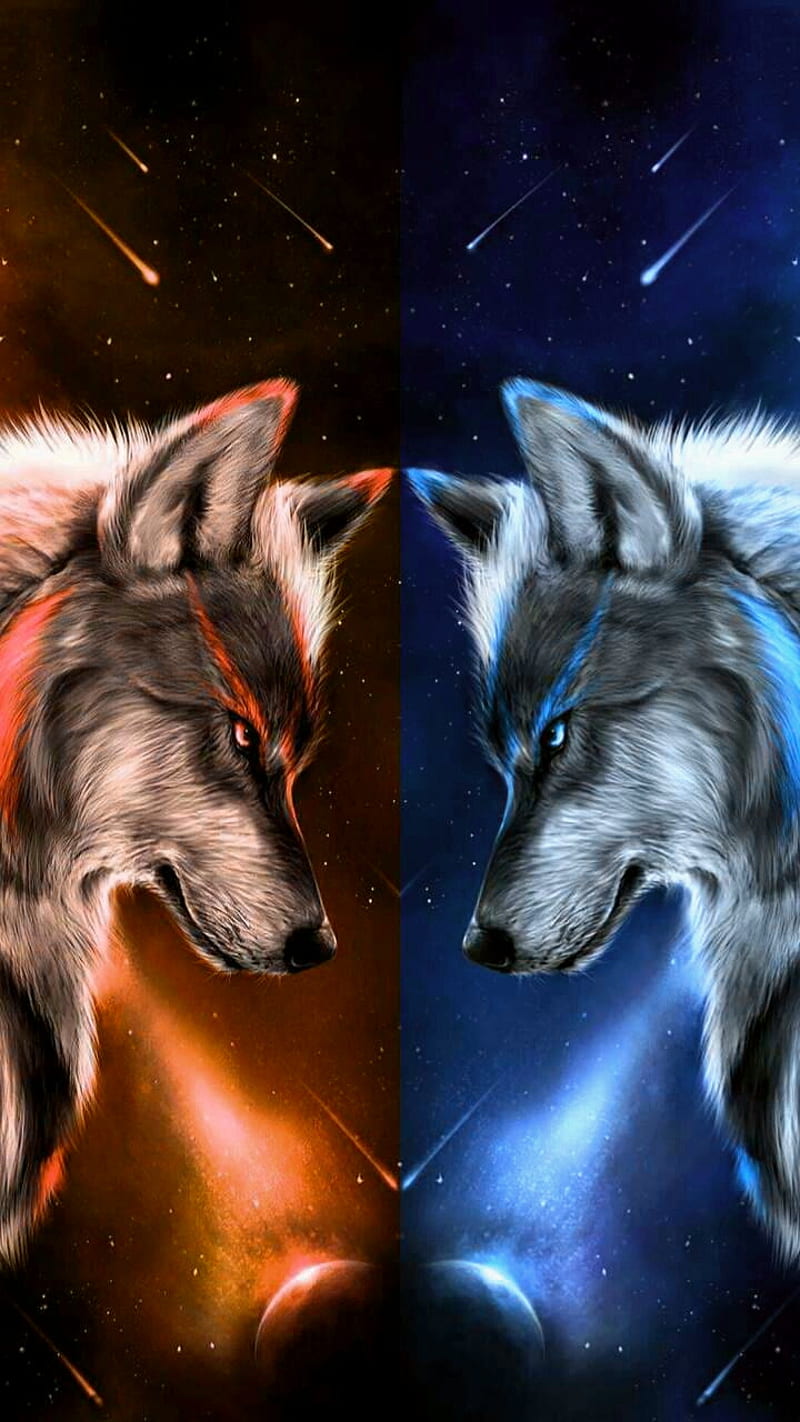 Wolves7, wolf, wolves, blue, orange, HD phone wallpaper
