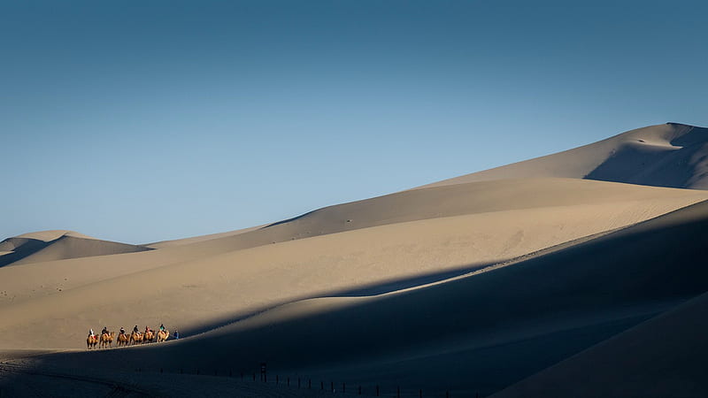 graphy, Landscape, Camel Caravan, Gobi Desert, Desert, HD wallpaper