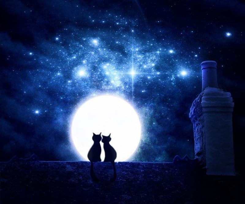 Kittens Romantic Night, stars, roof, sky, silhouette, two, full moon, kitties, chimney, blue, HD wallpaper
