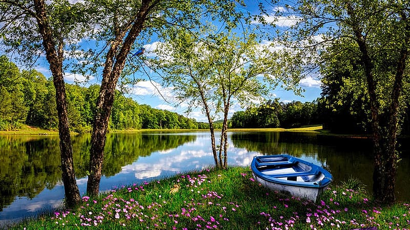 Spring sunshine along the backroads of the Appalachian Blue Ridge Smoky Mountain country farms, Georgia, boat, clouds, trees, sky, water, forest, usa, reflections, flowers, HD wallpaper