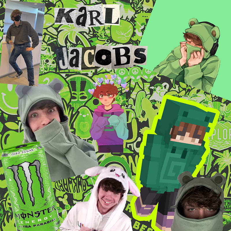 Karl jacobs, dreamsmp, frog, green, karljacobs, monster, mrbeast, HD mobile wallpaper