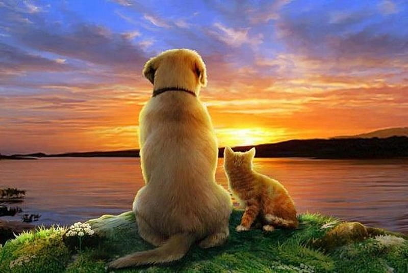 Looking the horizon, cat, dog, horizon, sunset, kittrn, puppy, HD wallpaper