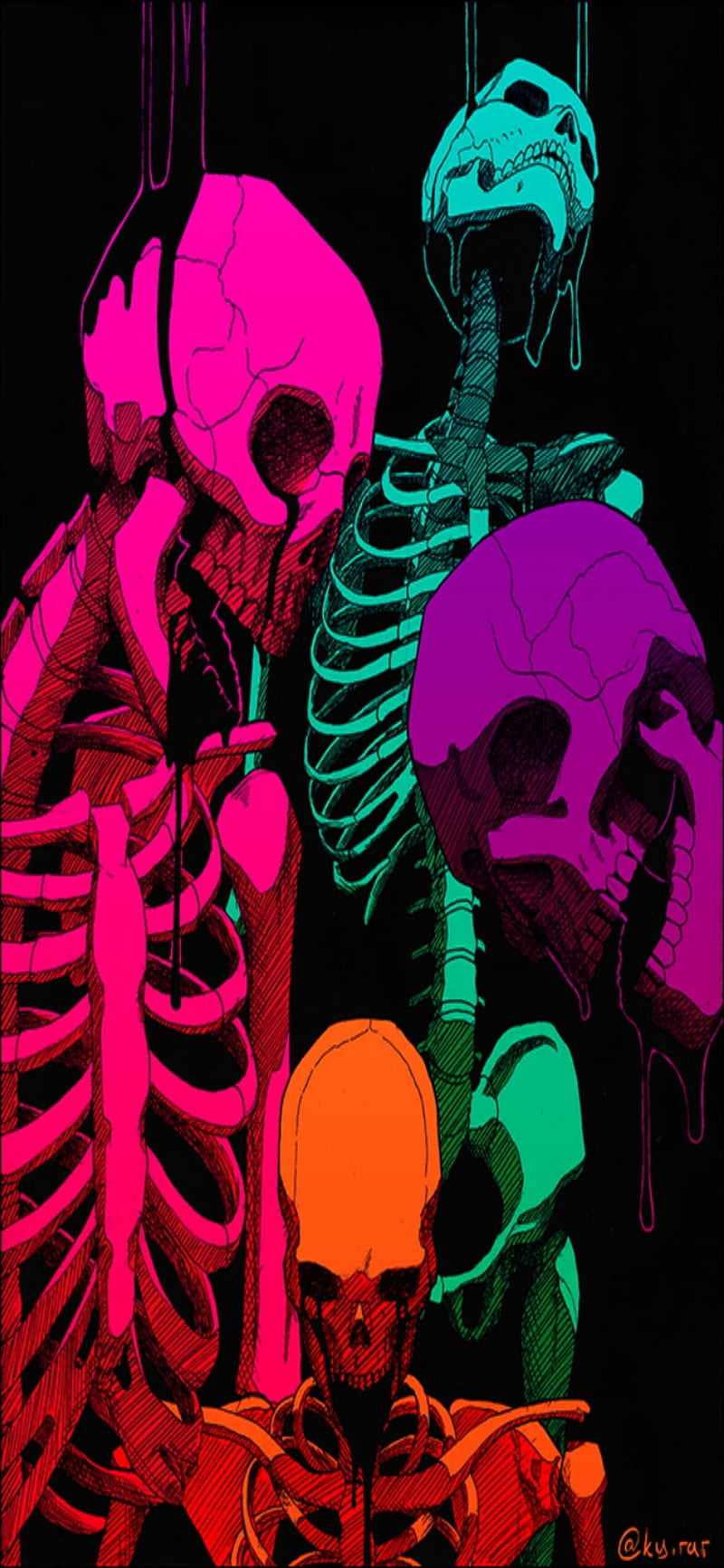 720P free download | Skeleton, art, horror, skull, HD phone wallpaper ...