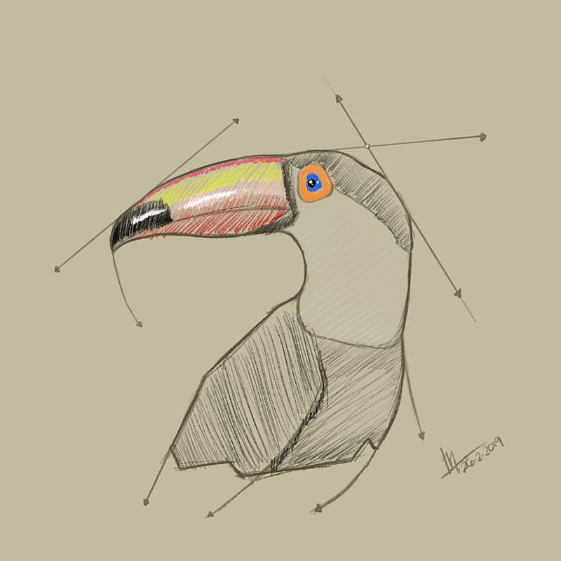 toucans, animals, artwork, birds, HD phone wallpaper