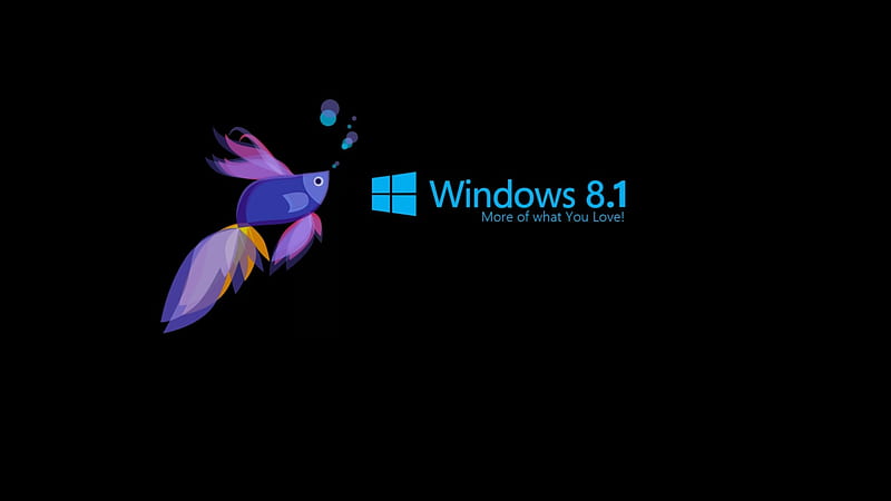 Windows 8.1, windows, windows 8 1, windows logo, windwos 8, HD wallpaper