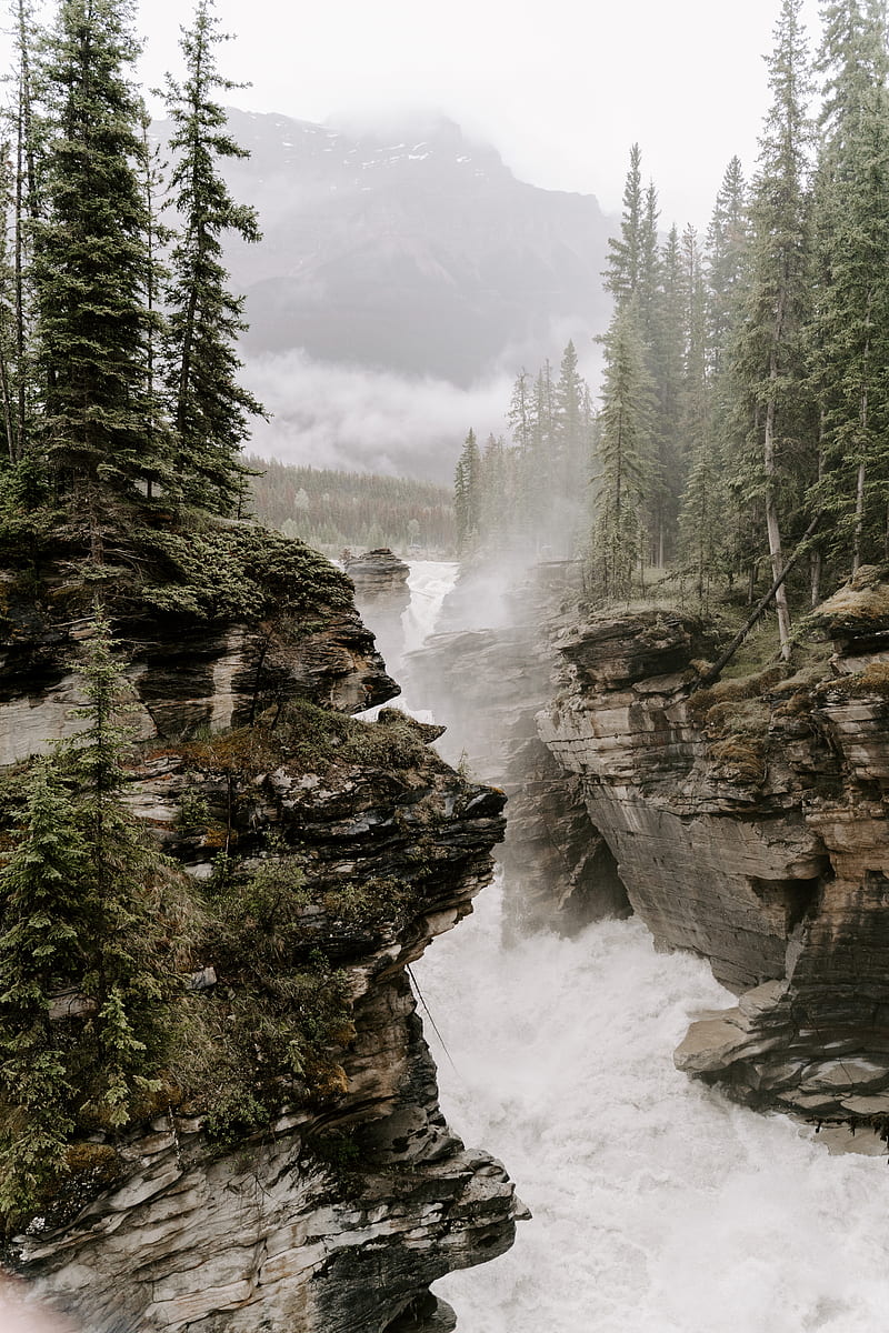 rocks, river, fog, trees, cliffs, HD phone wallpaper