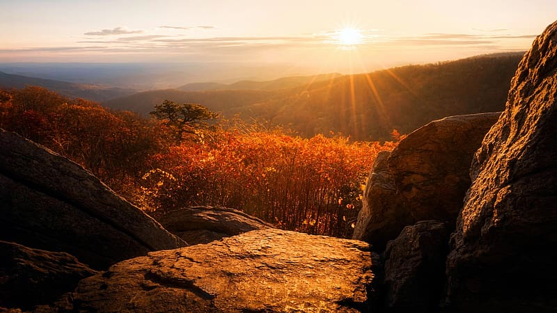 Good morning Shenandoah National Park, Virginia, leaves, fall, colors, landscape, autumn, trees, forest, sunrise, usa, HD wallpaper