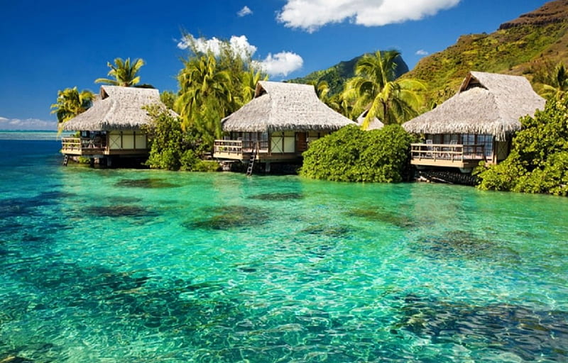 Fiji Islands, Ocean, Sea, Islands, Fiji, HD wallpaper