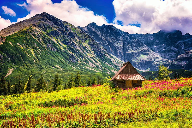 Tatra Mountains near Zakopane, Poland, spring, cabin, meadow, flowers, clouds, sky, HD wallpaper