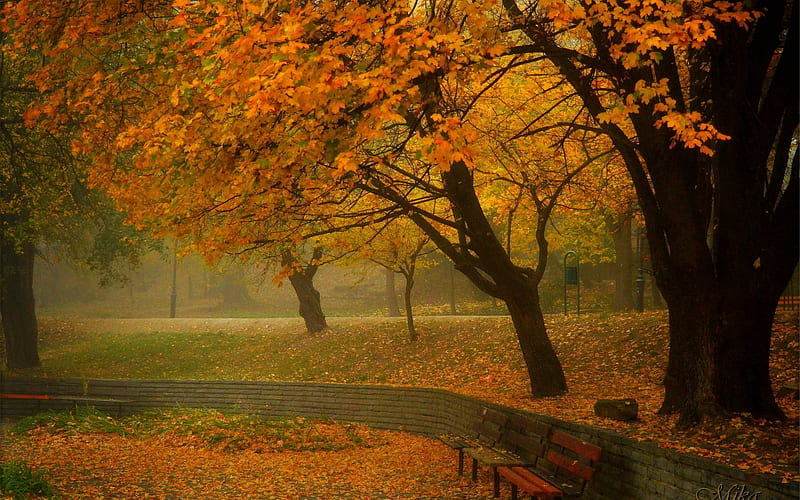 Autumn fog, Leaves, Trees, Park, Benches, Foliage, HD wallpaper | Peakpx