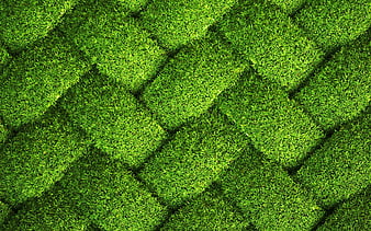 HD grass wallpapers | Peakpx