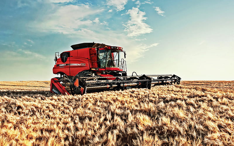 Case IH, Axial Flow, harvesting, combine, wheat, Case, Harvester, Axial Flow 7230, HD wallpaper