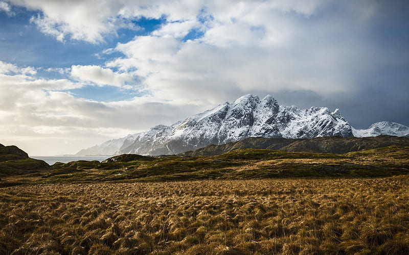 mountains, field, snow, mountain landscape, HD wallpaper