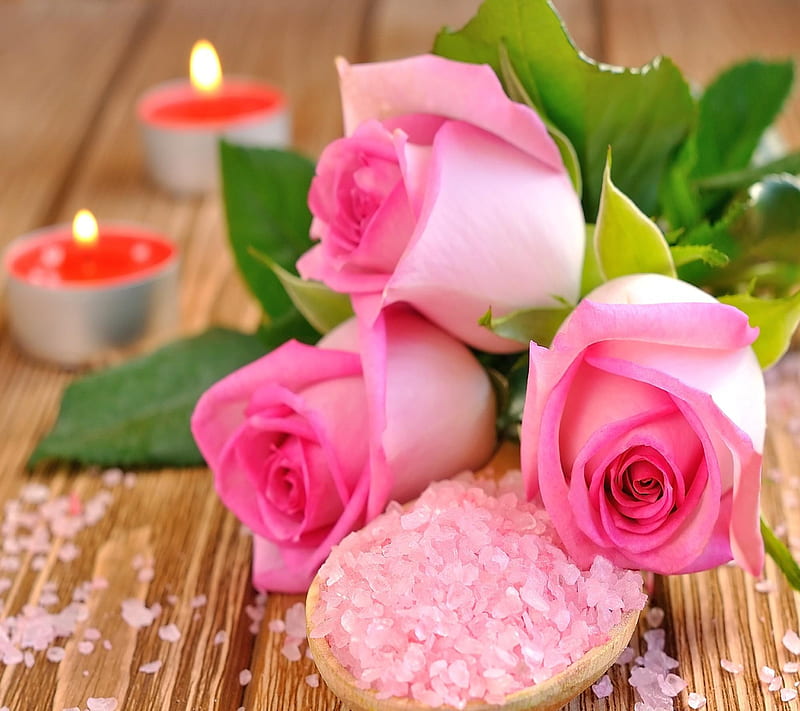 pink roses, candles, gift, heart, love, nature, nice, pink, roses, HD wallpaper