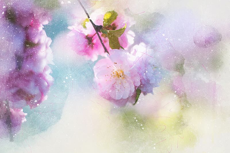 Spring, Artistic, Cherry Blossom, HD wallpaper | Peakpx