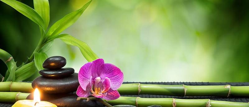 Spa background, Leaves, Stones, Bamboo, Flower, HD wallpaper