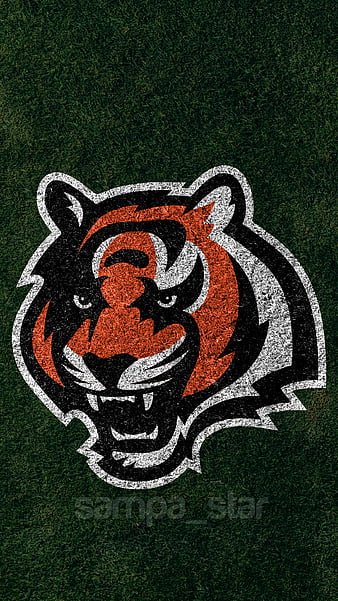 Cincinnati Bengals, cincinnatibengals, seizetheday, whodey, HD