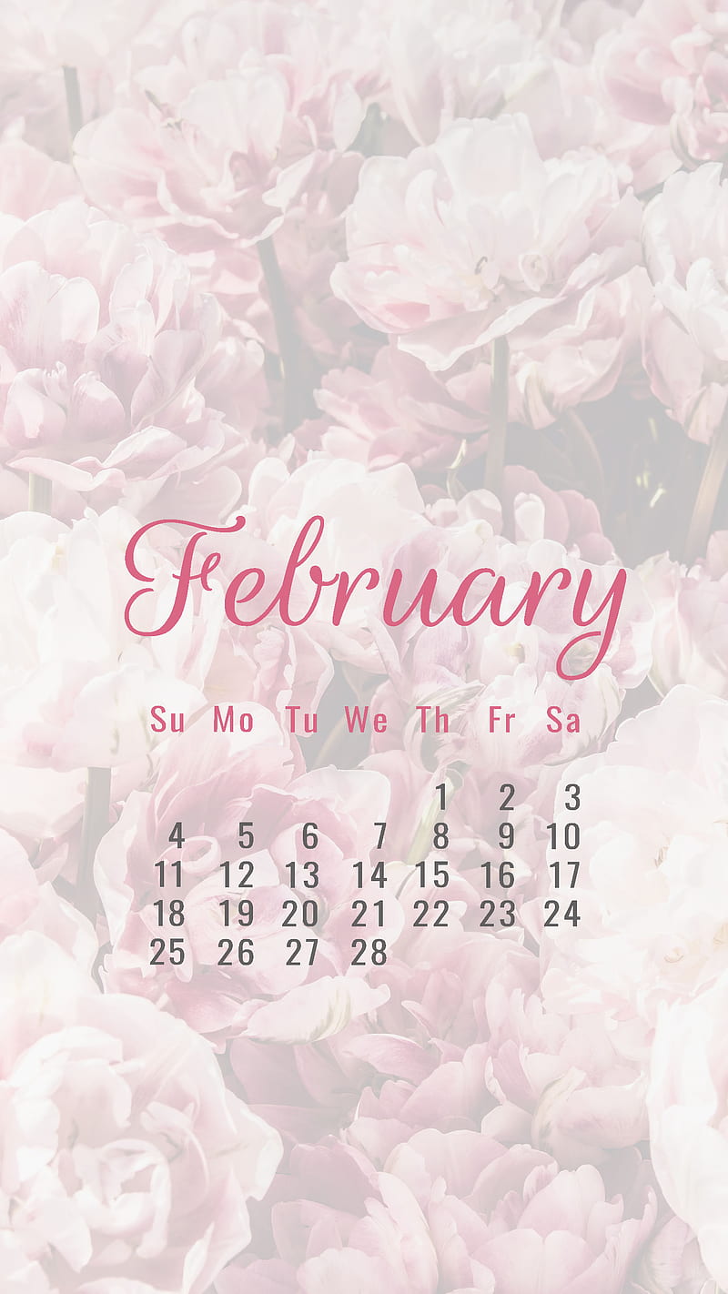 Rosy February, calendar, calendars, flowers, roses, HD phone wallpaper