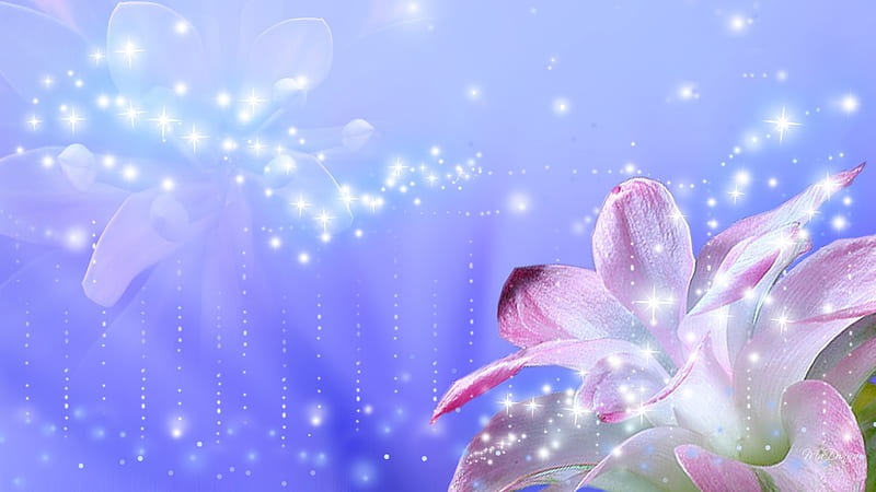 Flower So Fair, lilac, stars, transparent, firefox persona, lavender,  sparkle, HD wallpaper | Peakpx