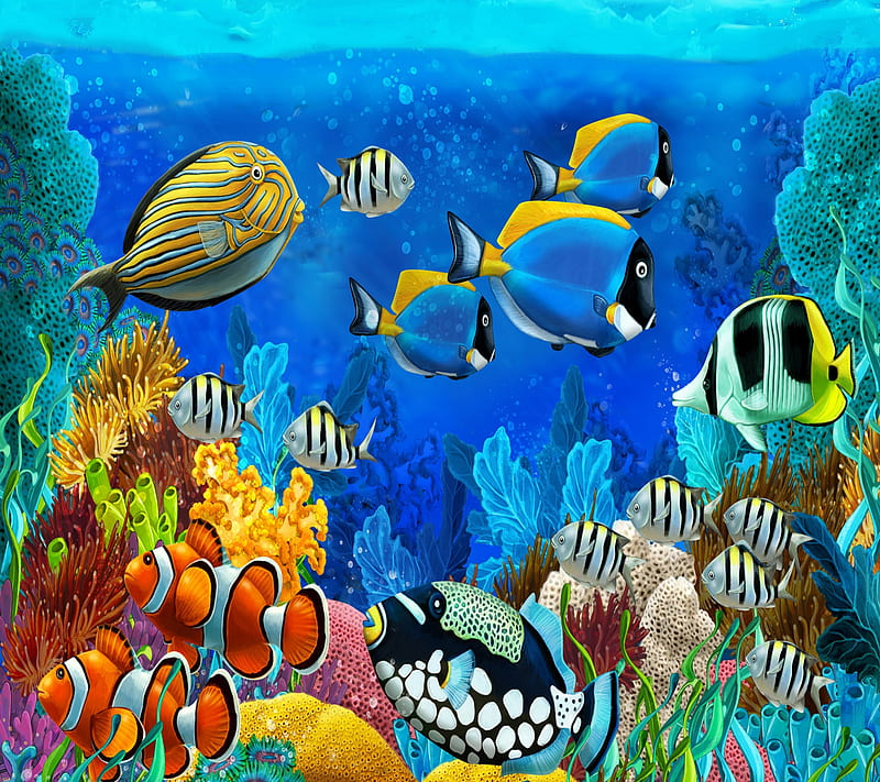 720P free download | Ocean of Fishes, HD wallpaper | Peakpx