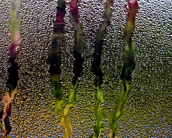 Regen, Fenster, HD-Hintergrundbild