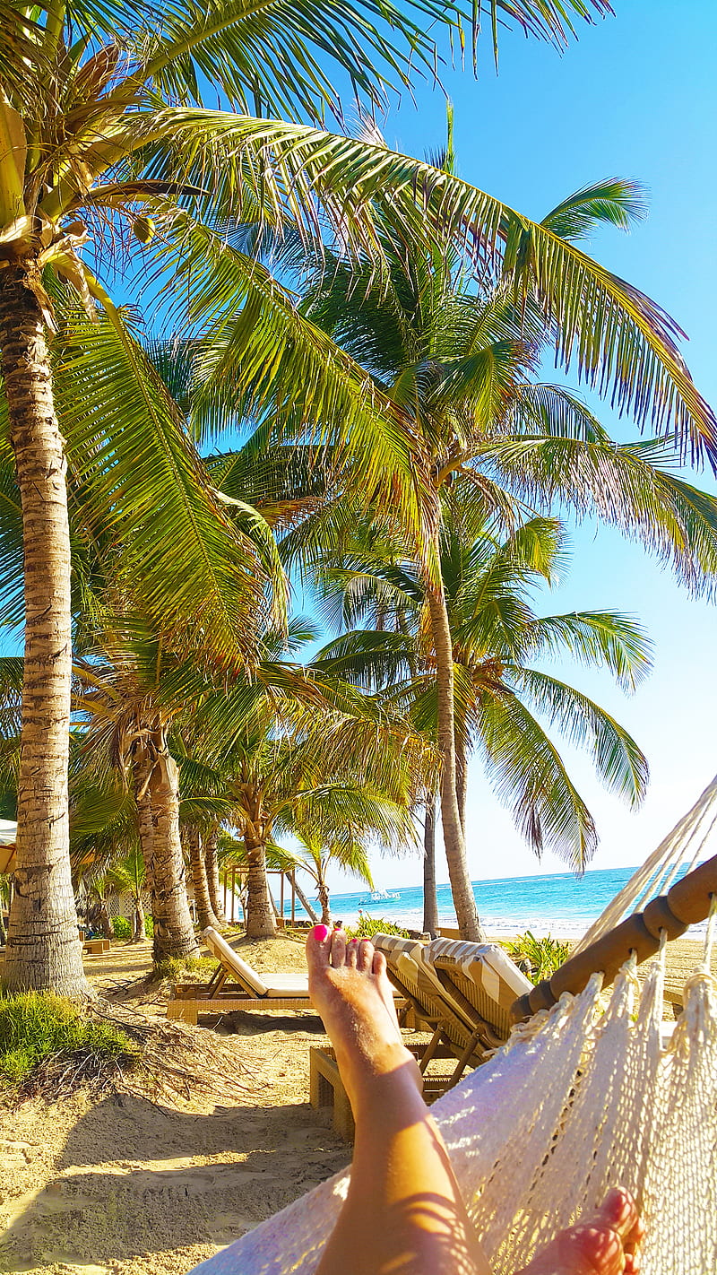 Vacation time Dominica, Summer, beach, exotic, fruit, ocean, seaside, summer time, sun, tropical, HD phone wallpaper