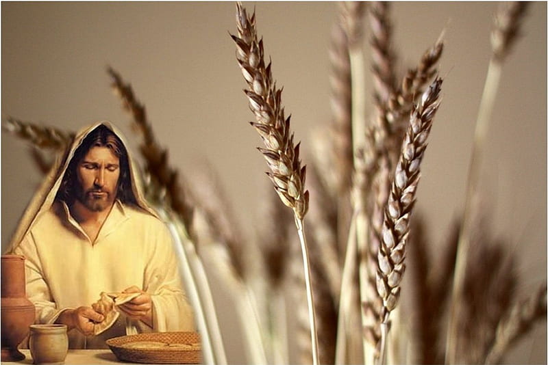 Jesus last supper, christ, jesus, god, spike, HD wallpaper
