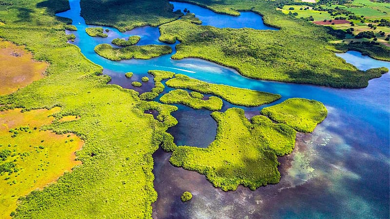 Wetlands Guadeloupe National Park Lesser Antilles Bing, HD wallpaper