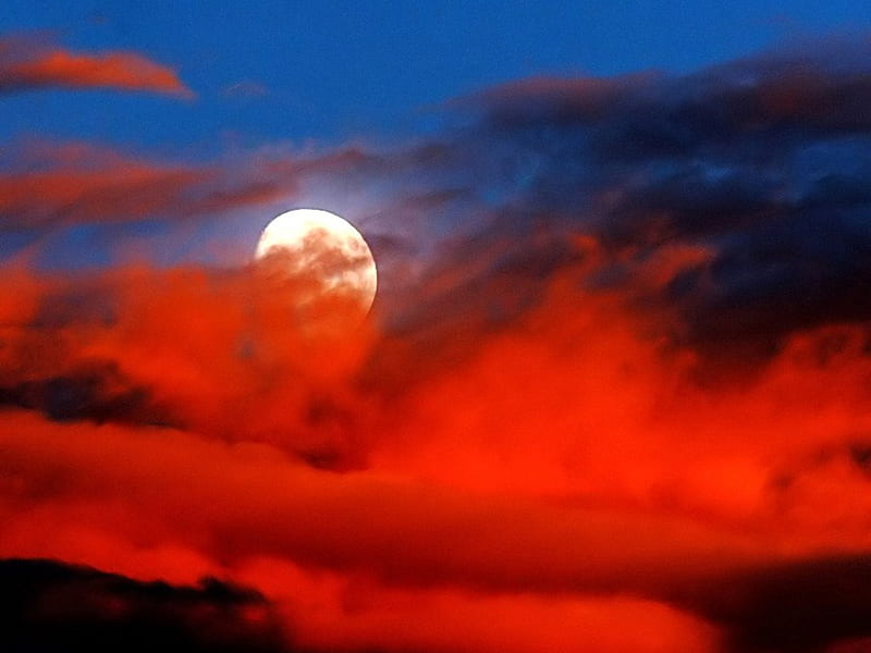 RED SKY MOON, red, moon, sky, blue, HD wallpaper