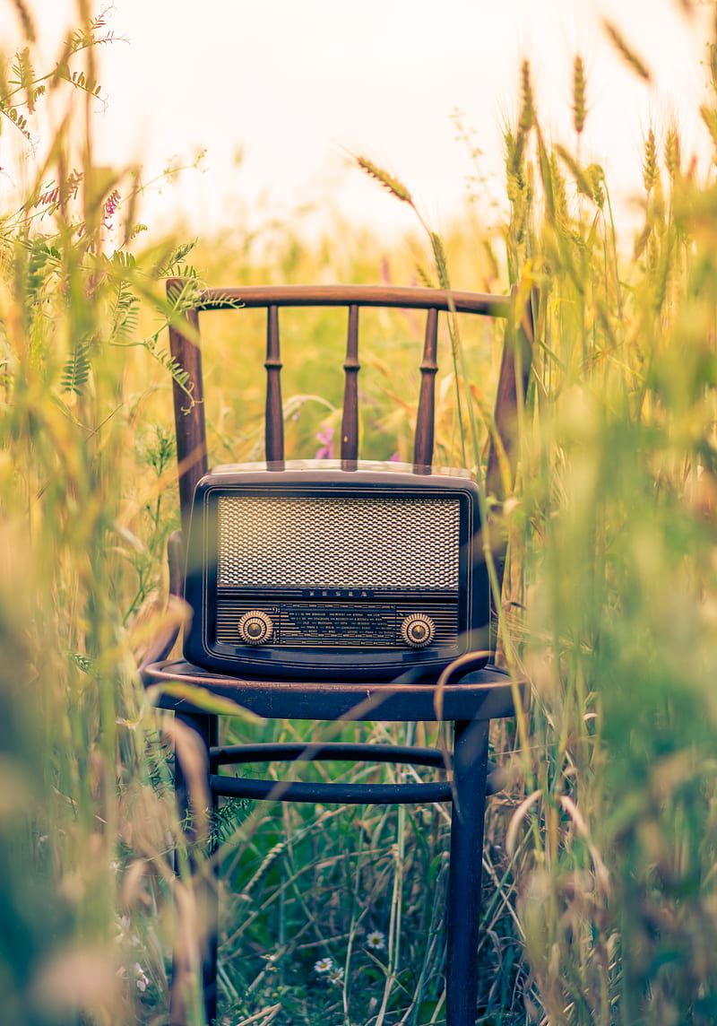 black transistor radio in the middle of the field, HD phone wallpaper
