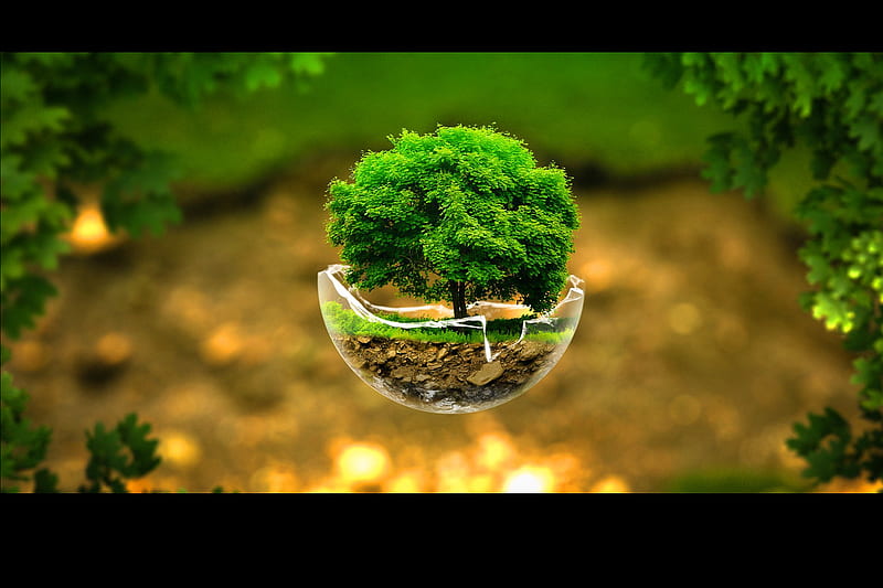 Tree Globe, earth, green, planet, HD wallpaper