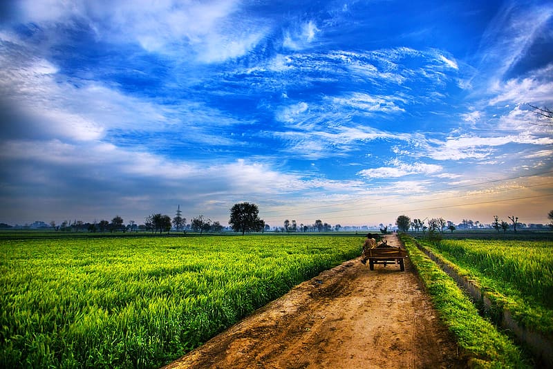 Landscape, Nature, Sky, Field, , Countryside, Pakistan, HD wallpaper