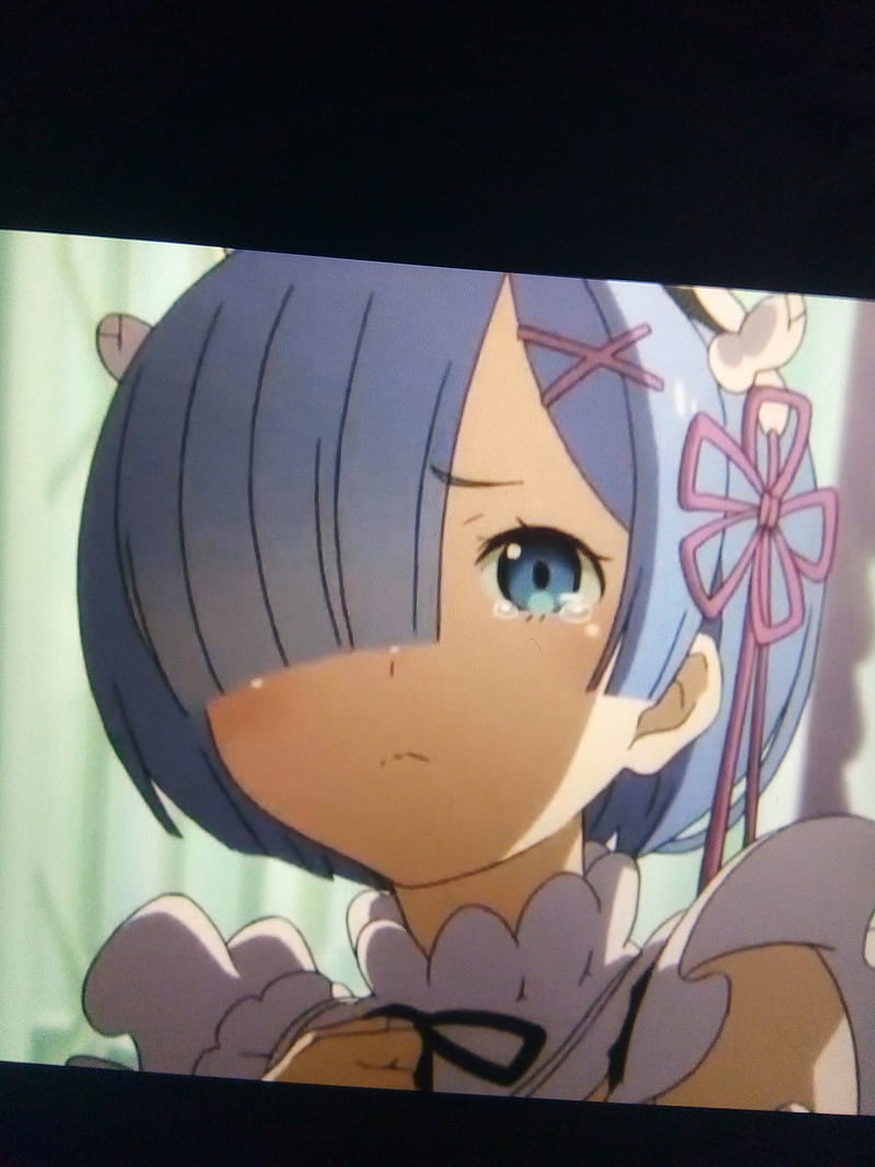 Re:Zero Rem Ram Emilia Anime Profile Picture Icon Aesthetic Cute Blue  Kawaii