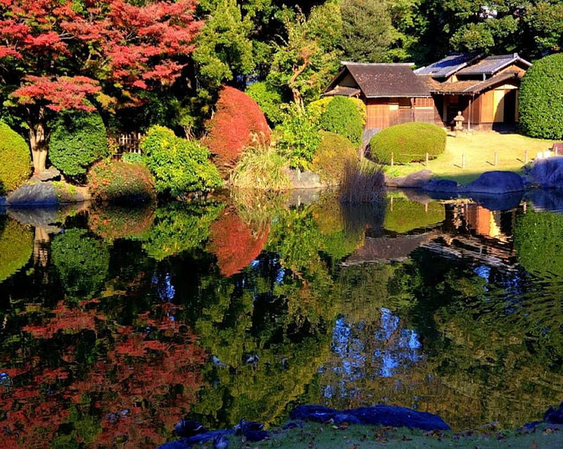 Tokyo National Museum Garden, japan, japanese, tokyo, garden, nature, lake, HD wallpaper