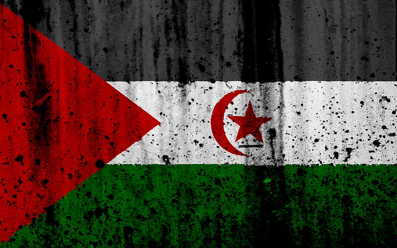 Saharan Arab Democratic Republic flag grunge, flag of SADR, Africa, Saharan Arab Democratic Republic, national symbols, SADR national flag, HD wallpaper