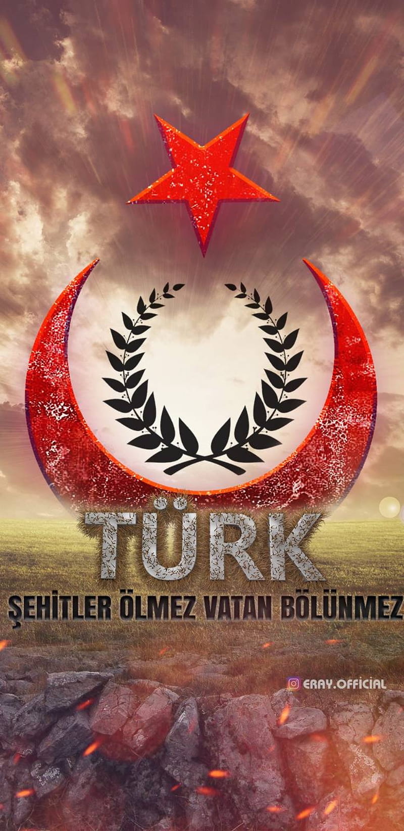 Bayrak Turkiye, happy, tracer, venom, birtay, fairy, happy birtay, tail, ballet, signs, zodiac, HD phone wallpaper