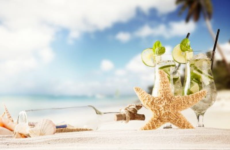 Summer, seashells, cocktail, summer time, bottle, sky, beach, sand, splendor, nature, shells, HD wallpaper