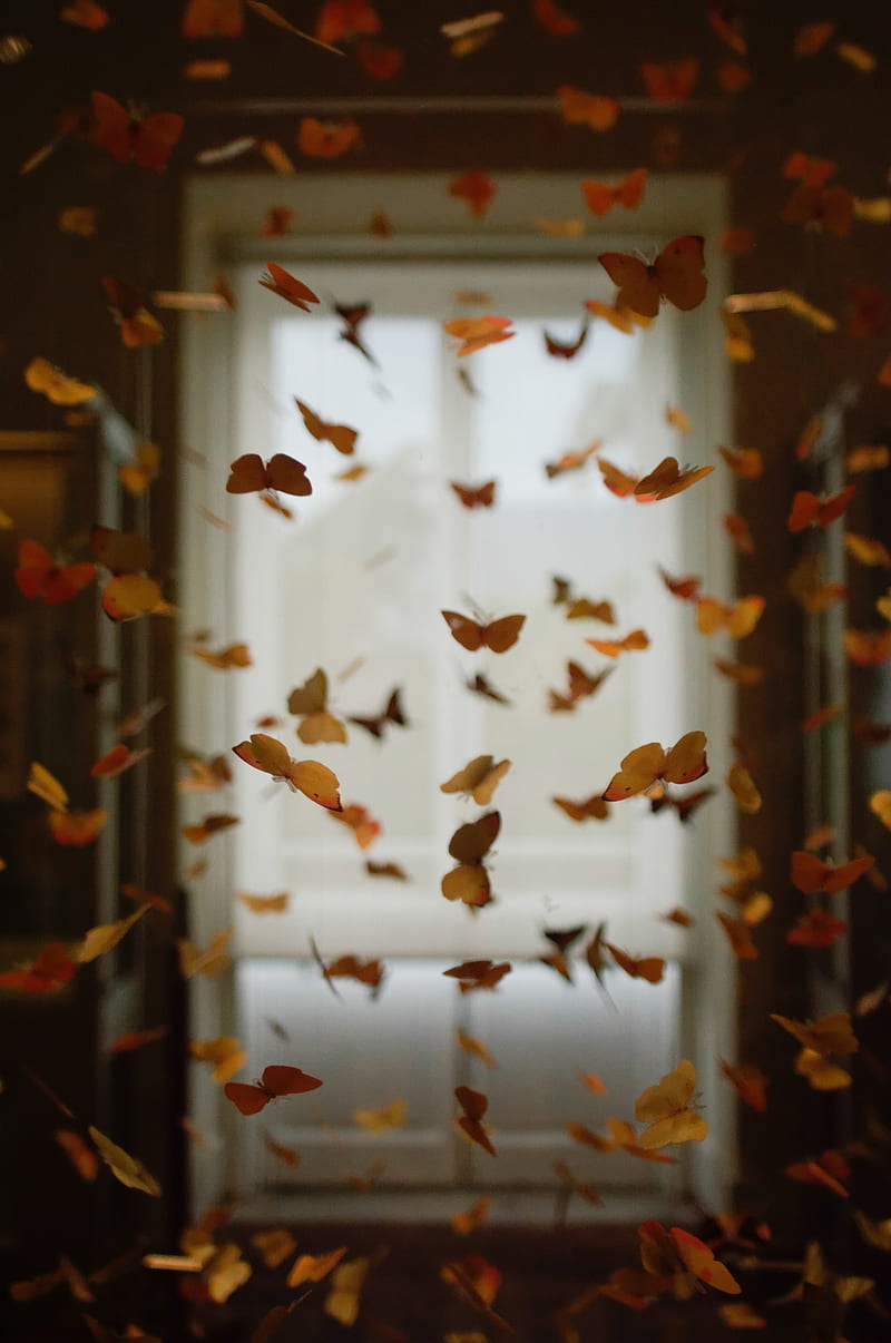butterflies, space, decoration, desenho, blur, HD phone wallpaper