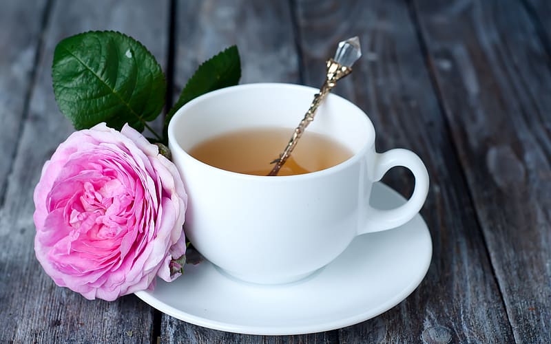 Tea time, tea, cup, rose, pink, white, flower, trandafir, HD wallpaper